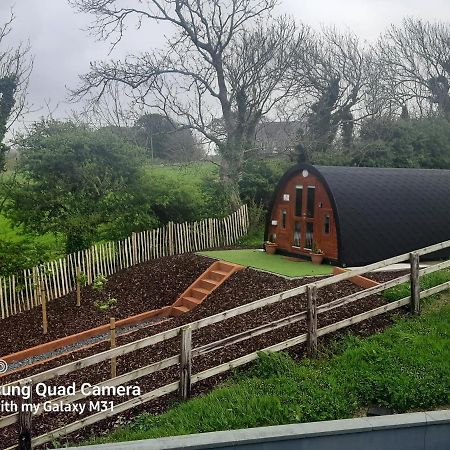 Apartmán Ivy Hill Glamping Pod Ennis Exteriér fotografie