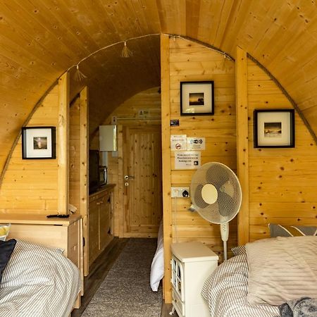 Apartmán Ivy Hill Glamping Pod Ennis Exteriér fotografie