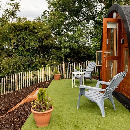 Apartmán Ivy Hill Glamping Pod Ennis Exteriér fotografie