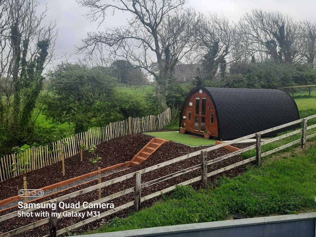 Apartmán Ivy Hill Glamping Pod Ennis Exteriér fotografie