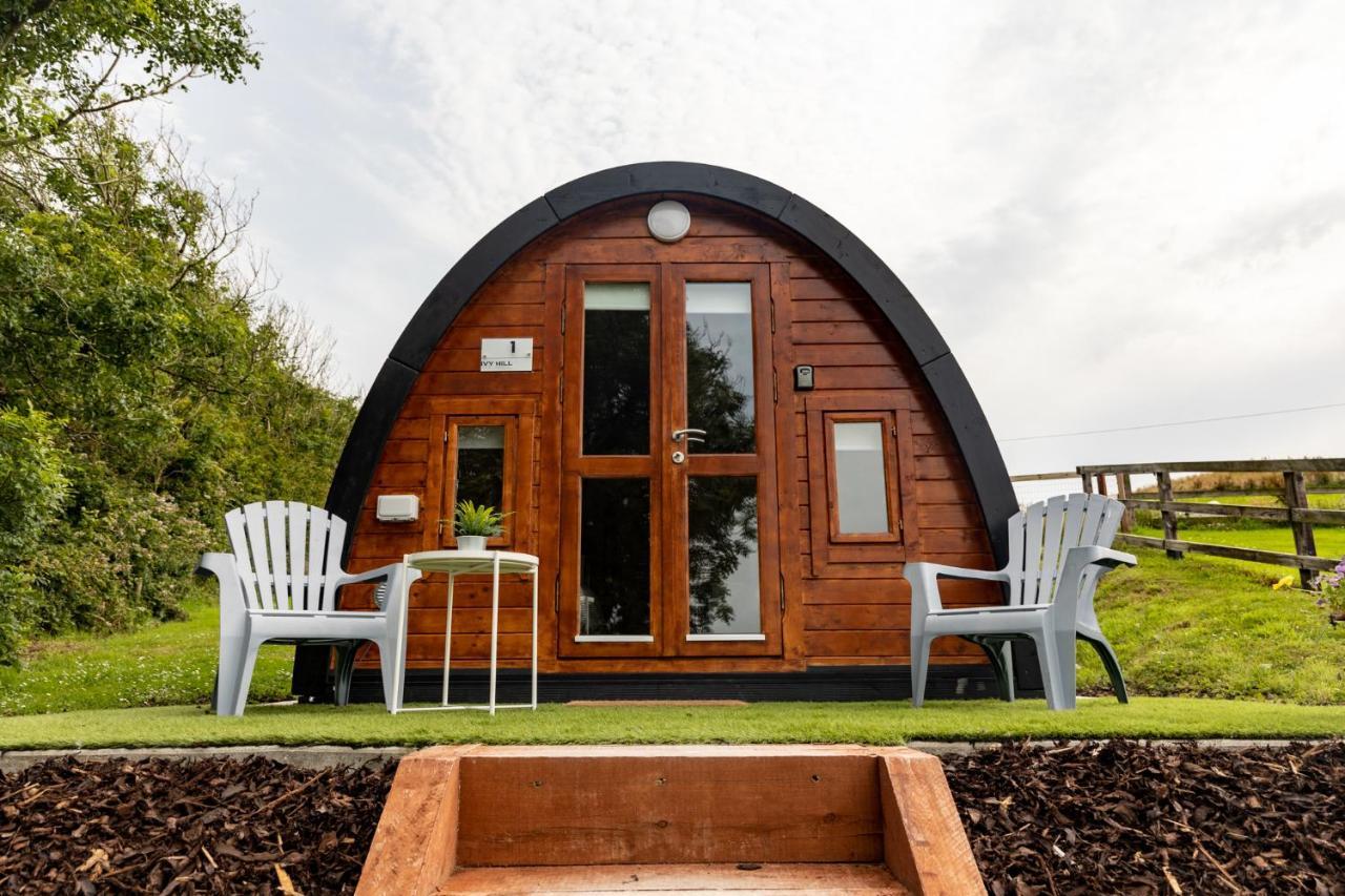 Apartmán Ivy Hill Glamping Pod Ennis Exteriér fotografie
