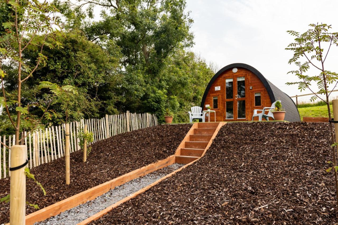 Apartmán Ivy Hill Glamping Pod Ennis Exteriér fotografie