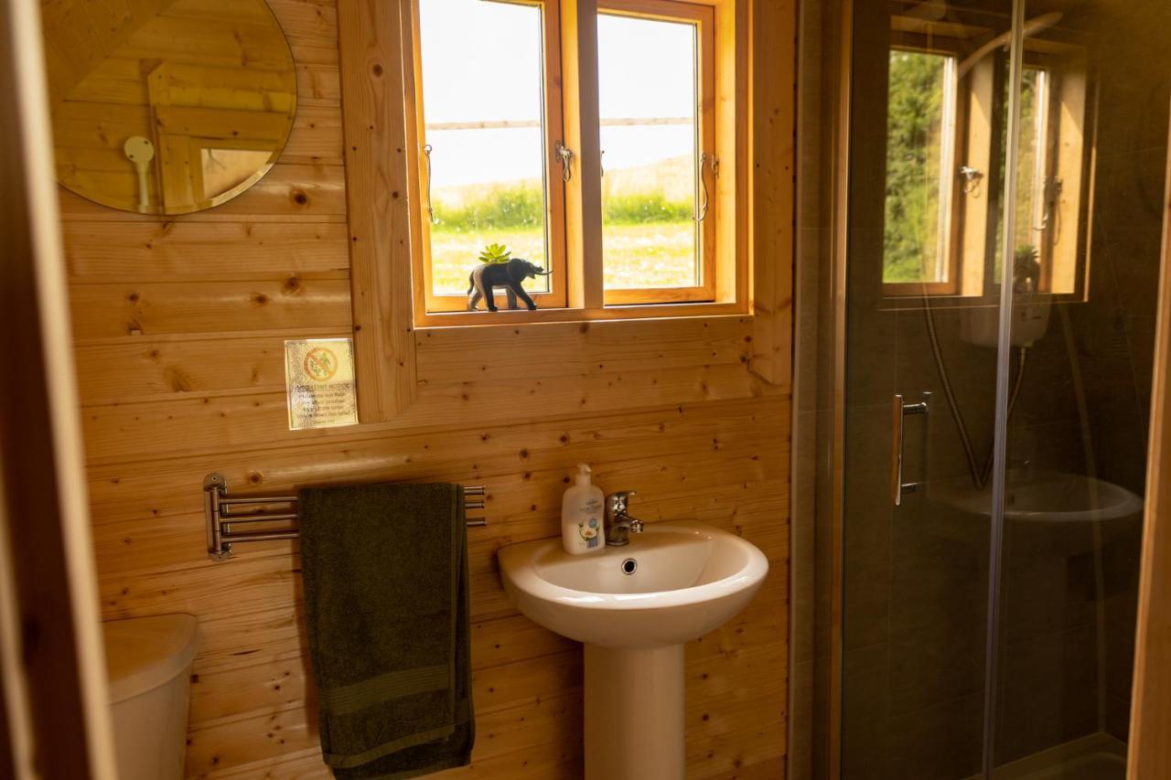 Apartmán Ivy Hill Glamping Pod Ennis Exteriér fotografie